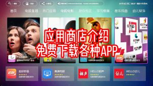 自带应用商店简介-梦随心飞