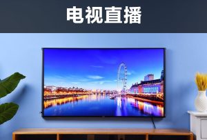 电视直播-效果演示-梦随心飞