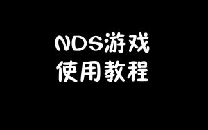 NDS游戏使用教程-梦随心飞