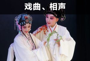 戏曲 小品 相声 视频效果演示-梦随心飞