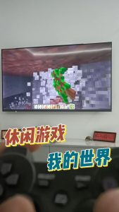 我的世界-梦随心飞